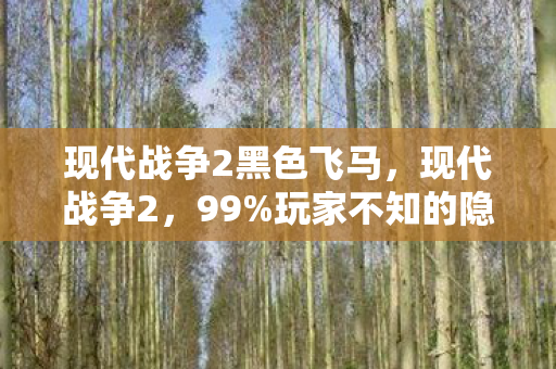 现代战争2黑色飞马,现代战争2,99%玩家不知的隐藏机制,竟让菜鸟秒变战场杀神! 现代战争2黑色飞马,现代战争2,99%玩家不知的隐藏机制,竟让菜鸟秒变战场杀神!
