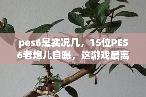 pes6是实况几,15位PES6老炮儿自曝,这游戏最离谱设定,听完我直接绷不住了! pes6是实况几,15位PES6老炮儿自曝,这游戏最离谱设定,听完我直接绷不住了!
