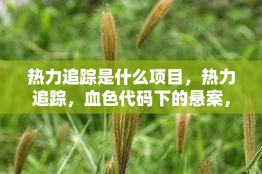 热力追踪是什么项目,热力追踪,血色代码下的悬案,毛骨悚然自掘坟墓 热力追踪是什么项目,热力追踪,血色代码下的悬案,毛骨悚然自掘坟墓