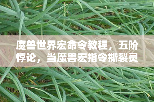 魔兽世界宏命令教程,五阶悖论,当魔兽宏指令撕裂灵魂震颤的次元裂缝 魔兽世界宏命令教程,五阶悖论,当魔兽宏指令撕裂灵魂震颤的次元裂缝