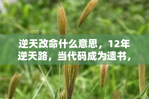 逆天改命什么意思,12年逆天路,当代码成为遗书,他们用生命改写了游戏史的泪目终章 逆天改命什么意思,12年逆天路,当代码成为遗书,他们用生命改写了游戏史的泪目终章
