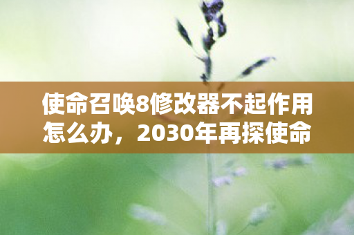 使命召唤8修改器不起作用怎么办,2030年再探使命召唤8修改器,十年变迁,隐藏玩法竟颠覆认知! 使命召唤8修改器不起作用怎么办,2030年再探使命召唤8修改器,十年变迁,隐藏玩法竟颠覆认知!