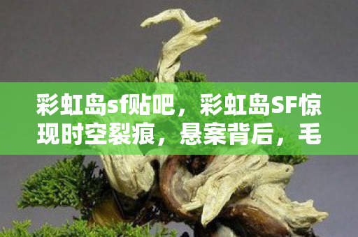 彩虹岛sf贴吧，彩虹岛SF惊现时空裂痕，悬案背后，毛骨悚然的线索竟指向玩家自身