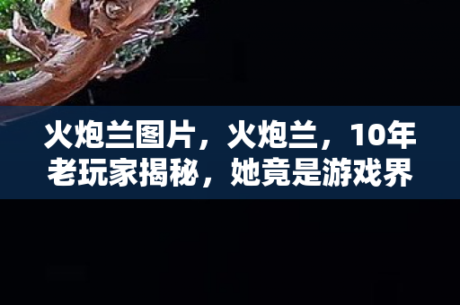 火炮兰图片,火炮兰,10年老玩家揭秘,她竟是游戏界最孤独的双面女王? 火炮兰图片,火炮兰,10年老玩家揭秘,她竟是游戏界最孤独的双面女王?