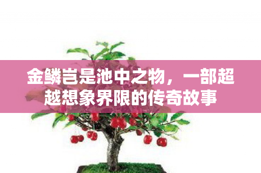 金鳞岂是池中之物，一部超越想象界限的传奇故事