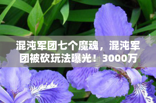 混沌军团七个魔魂,混沌军团被砍玩法曝光!3000万研发费打水漂,背后隐情让人吓一跳 混沌军团七个魔魂,混沌军团被砍玩法曝光!3000万研发费打水漂,背后隐情让人吓一跳