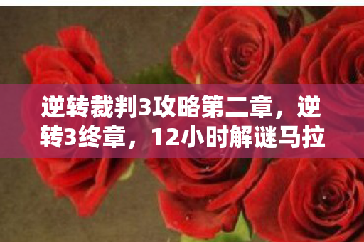 逆转裁判3攻略第二章,逆转3终章,12小时解谜马拉松,泪目见证法庭最后的钟声 逆转裁判3攻略第二章,逆转3终章,12小时解谜马拉松,泪目见证法庭最后的钟声