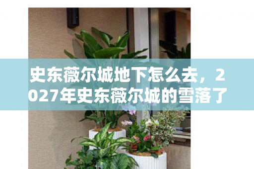 史东薇尔城地下怎么去,2027年史东薇尔城的雪落了,那句别走成了我鼻尖的酸 史东薇尔城地下怎么去,2027年史东薇尔城的雪落了,那句别走成了我鼻尖的酸