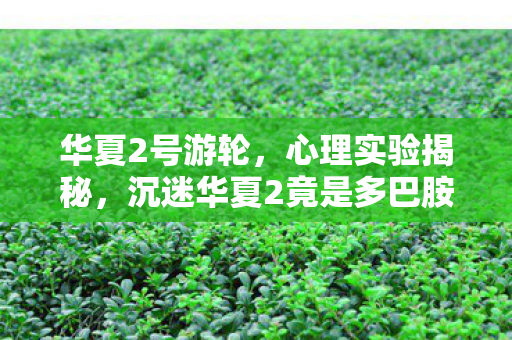 华夏2号游轮,心理实验揭秘,沉迷华夏2竟是多巴胺陷阱?细思极恐的神经操控术 华夏2号游轮,心理实验揭秘,沉迷华夏2竟是多巴胺陷阱?细思极恐的神经操控术