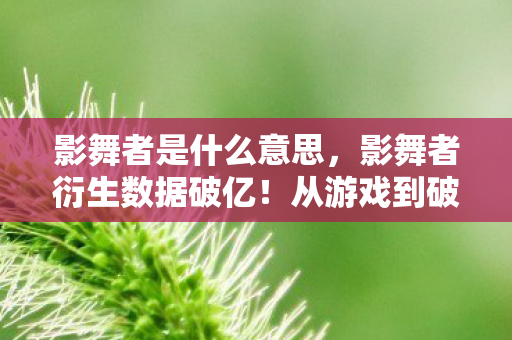 影舞者是什么意思,影舞者衍生数据破亿!从游戏到破圈,跨界联动意想不到! 影舞者是什么意思,影舞者衍生数据破亿!从游戏到破圈,跨界联动意想不到!