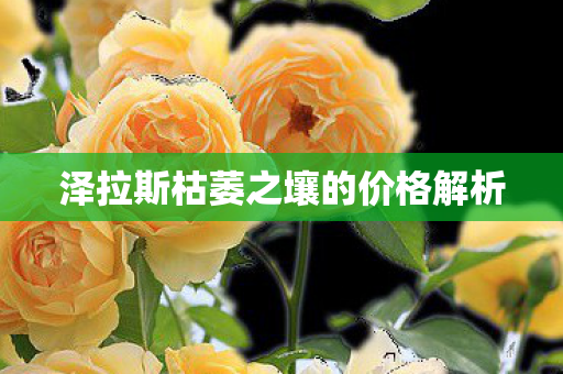 泽拉斯枯萎之壤的价格解析