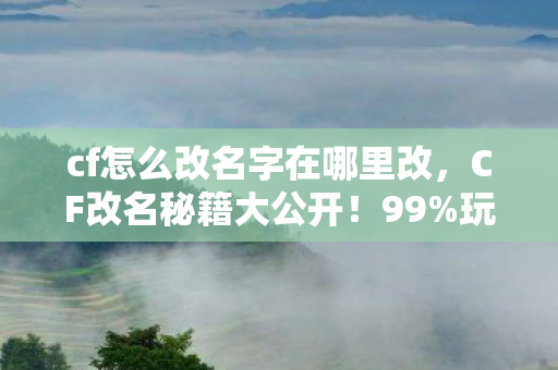 cf怎么改名字在哪里改,CF改名秘籍大公开!99%玩家不知的隐藏操作,错过再等十年! cf怎么改名字在哪里改,CF改名秘籍大公开!99%玩家不知的隐藏操作,错过再等十年!