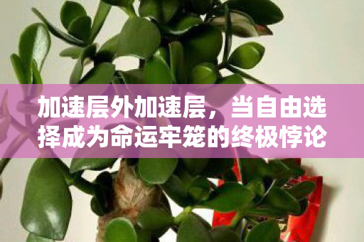 加速层外加速层,当自由选择成为命运牢笼的终极悖论 加速层外加速层,当自由选择成为命运牢笼的终极悖论