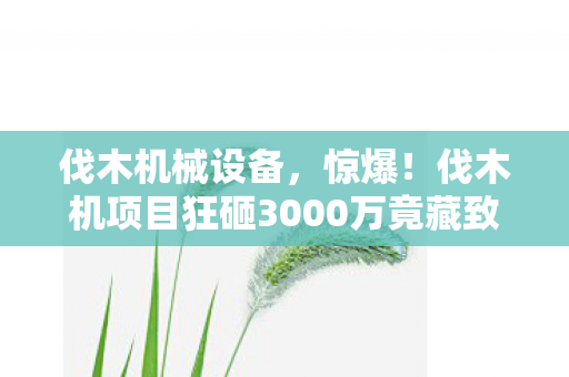 伐木机械设备,惊爆!伐木机项目狂砸3000万竟藏致命隐情,看完真相让人吓一跳! 伐木机械设备,惊爆!伐木机项目狂砸3000万竟藏致命隐情,看完真相让人吓一跳!