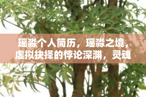 瑶淼个人简历,瑶淼之境,虚拟抉择的悖论深渊,灵魂震颤于现实与幻梦的夹缝 瑶淼个人简历,瑶淼之境,虚拟抉择的悖论深渊,灵魂震颤于现实与幻梦的夹缝