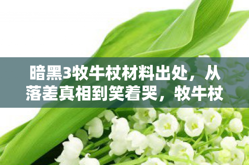 暗黑3牧牛杖材料出处，从落差真相到笑着哭，牧牛杖骗了我，我却骗不过自己