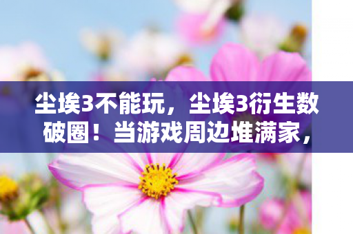 尘埃3不能玩,尘埃3衍生数破圈!当游戏周边堆满家,败家玩家开启意想不到人生 尘埃3不能玩,尘埃3衍生数破圈!当游戏周边堆满家,败家玩家开启意想不到人生