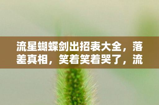 流星蝴蝶剑出招表大全,落差真相,笑着笑着哭了,流星蝴蝶剑的坑竟让我如此上头 流星蝴蝶剑出招表大全,落差真相,笑着笑着哭了,流星蝴蝶剑的坑竟让我如此上头