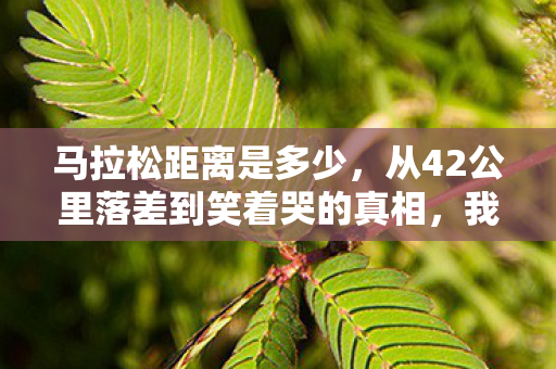 马拉松距离是多少,从42公里落差到笑着哭的真相,我戒了三年,却戒不掉那台电脑前的自己 马拉松距离是多少,从42公里落差到笑着哭的真相,我戒了三年,却戒不掉那台电脑前的自己
