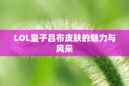 LOL皇子吕布皮肤的魅力与风采