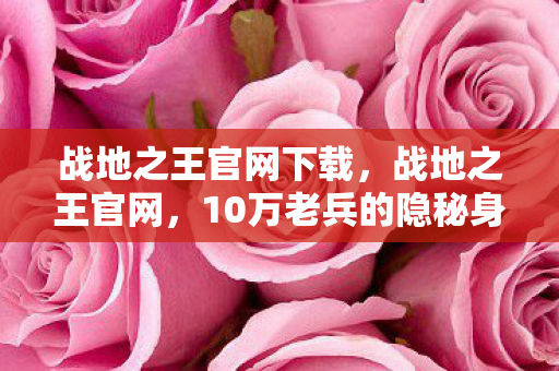 战地之王官网下载，战地之王官网，10万老兵的隐秘身份，为何在2027年集体泪崩？