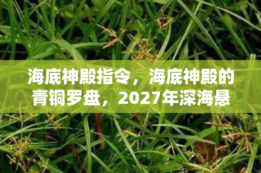 海底神殿指令,海底神殿的青铜罗盘,2027年深海悬案,失踪者遗物竟在祭坛自转? 海底神殿指令,海底神殿的青铜罗盘,2027年深海悬案,失踪者遗物竟在祭坛自转?