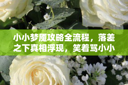 小小梦魇攻略全流程,落差之下真相浮现,笑着骂小小梦魇,笑着笑着竟哭了 小小梦魇攻略全流程,落差之下真相浮现,笑着骂小小梦魇,笑着笑着竟哭了