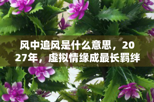 风中追风是什么意思,2027年,虚拟情缘成最长羁绊,伏笔揭开时,鼻子一酸泪满面 风中追风是什么意思,2027年,虚拟情缘成最长羁绊,伏笔揭开时,鼻子一酸泪满面