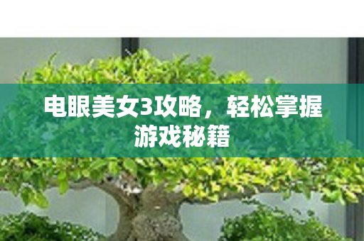电眼美女3攻略,轻松掌握游戏秘籍 电眼美女3攻略,轻松掌握游戏秘籍