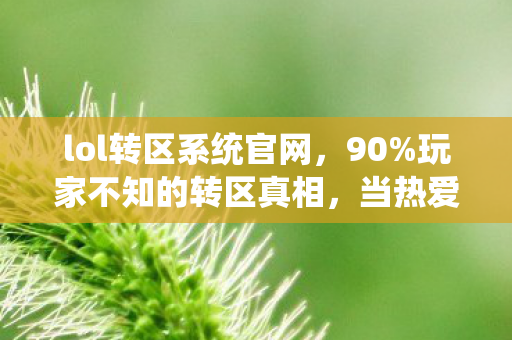 lol转区系统官网,90%玩家不知的转区真相,当热爱撞上冷冰冰的数据牢笼 lol转区系统官网,90%玩家不知的转区真相,当热爱撞上冷冰冰的数据牢笼