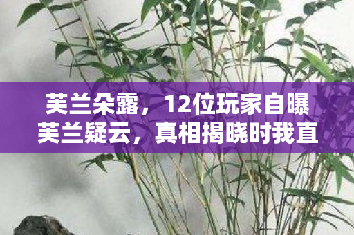 芙兰朵露,12位玩家自曝芙兰疑云,真相揭晓时我直接绷不住了! 芙兰朵露,12位玩家自曝芙兰疑云,真相揭晓时我直接绷不住了!