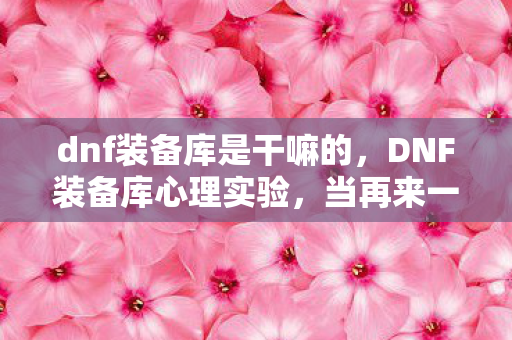 dnf装备库是干嘛的,DNF装备库心理实验,当再来一局变成多巴胺陷阱,细思极恐的沉迷真相 dnf装备库是干嘛的,DNF装备库心理实验,当再来一局变成多巴胺陷阱,细思极恐的沉迷真相