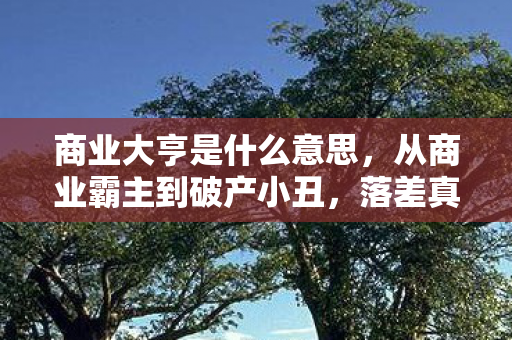 商业大亨是什么意思，从商业霸主到破产小丑，落差真相揭晓，笑着笑着，我哭了