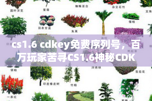 cs1.6 cdkey免费序列号,百万玩家苦寻CS1.6神秘CDKEY,真相揭晓时集体破防! cs1.6 cdkey免费序列号,百万玩家苦寻CS1.6神秘CDKEY,真相揭晓时集体破防!