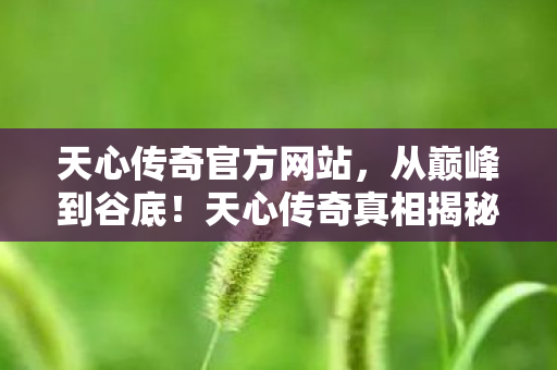 天心传奇官方网站,从巅峰到谷底!天心传奇真相揭秘,笑着骂,哭着回,落差感拉满! 天心传奇官方网站,从巅峰到谷底!天心传奇真相揭秘,笑着骂,哭着回,落差感拉满!