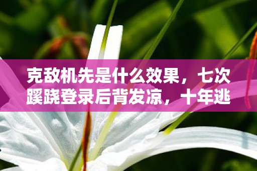 克敌机先是什么效果,七次蹊跷登录后背发凉,十年逃亡竟是场拙劣独角戏 克敌机先是什么效果,七次蹊跷登录后背发凉,十年逃亡竟是场拙劣独角戏