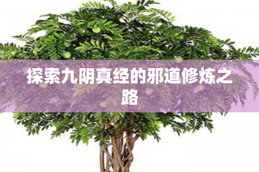 探索九阴真经的邪道修炼之路
