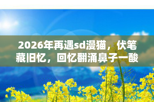 2026年再遇sd漫猫,伏笔藏旧忆,回忆翻涌鼻子一酸 2026年再遇sd漫猫,伏笔藏旧忆,回忆翻涌鼻子一酸