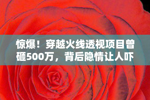 惊爆!穿越火线透视项目曾砸500万,背后隐情让人吓一跳! 惊爆!穿越火线透视项目曾砸500万,背后隐情让人吓一跳!