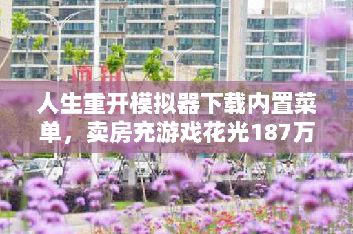 人生重开模拟器下载内置菜单，卖房充游戏花光187万！离婚协议藏隐情，妻子签字时我吓一跳