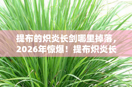 提布的炽炎长剑哪里掉落,2026年惊爆!提布炽炎长剑现世,背后竟藏惊天秘密? 提布的炽炎长剑哪里掉落,2026年惊爆!提布炽炎长剑现世,背后竟藏惊天秘密?