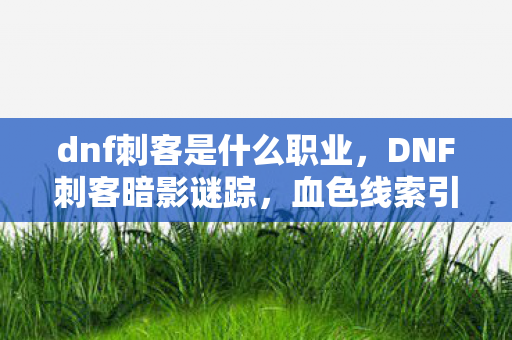 dnf刺客是什么职业,DNF刺客暗影谜踪,血色线索引悬案,毛骨悚然十年未解 dnf刺客是什么职业,DNF刺客暗影谜踪,血色线索引悬案,毛骨悚然十年未解