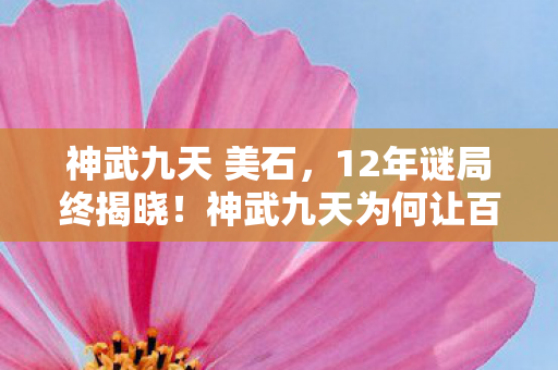 神武九天 美石,12年谜局终揭晓!神武九天为何让百万玩家泪目? 神武九天 美石,12年谜局终揭晓!神武九天为何让百万玩家泪目?