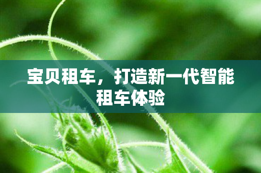 宝贝租车，打造新一代智能租车体验