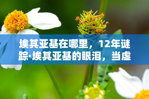 埃其亚基在哪里,12年谜踪·埃其亚基的眼泪,当虚拟神兽在代码废墟中最后一次回眸 埃其亚基在哪里,12年谜踪·埃其亚基的眼泪,当虚拟神兽在代码废墟中最后一次回眸