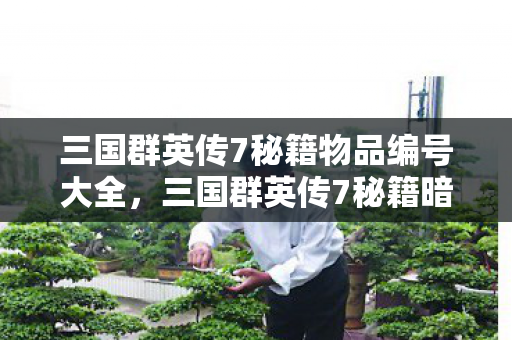 三国群英传7秘籍物品编号大全,三国群英传7秘籍暗藏玄机,血色秘典背后的自戕悬案,毛骨悚然! 三国群英传7秘籍物品编号大全,三国群英传7秘籍暗藏玄机,血色秘典背后的自戕悬案,毛骨悚然!