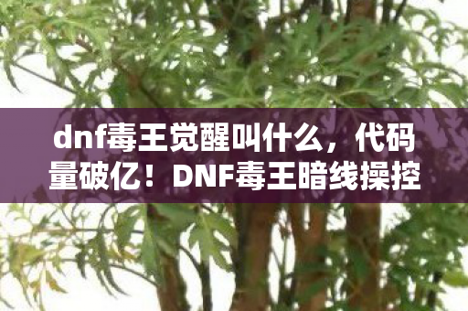 dnf毒王觉醒叫什么,代码量破亿!DNF毒王暗线操控,头皮发麻的帮派帝国崛起 dnf毒王觉醒叫什么,代码量破亿!DNF毒王暗线操控,头皮发麻的帮派帝国崛起