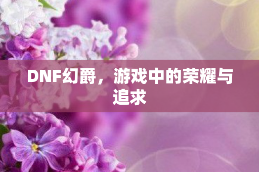 DNF幻爵，游戏中的荣耀与追求