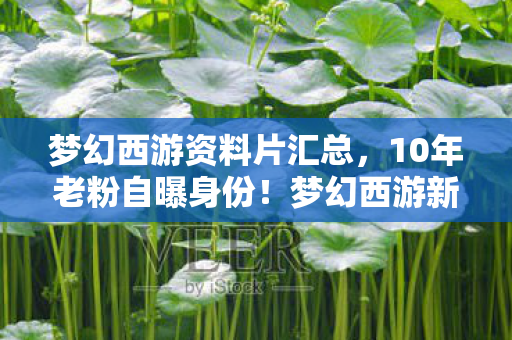 梦幻西游资料片汇总,10年老粉自曝身份!梦幻西游新资料片为何让百万玩家集体心酸? 梦幻西游资料片汇总,10年老粉自曝身份!梦幻西游新资料片为何让百万玩家集体心酸?