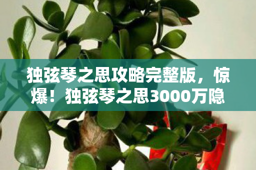 独弦琴之思攻略完整版,惊爆!独弦琴之思3000万隐情曝光,策划案被砍真相吓一跳! 独弦琴之思攻略完整版,惊爆!独弦琴之思3000万隐情曝光,策划案被砍真相吓一跳!